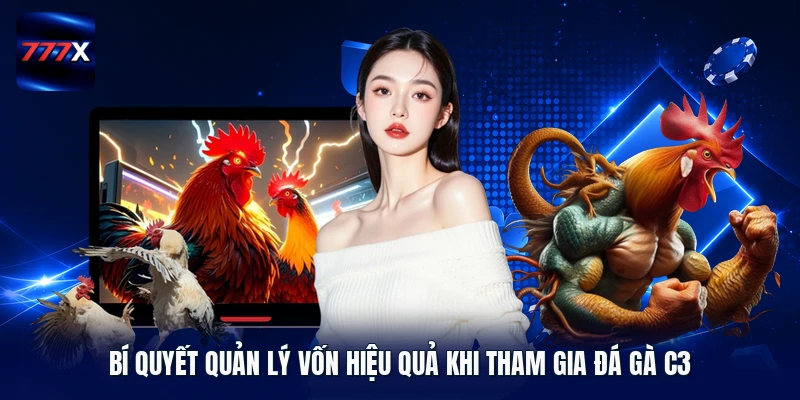 Bí quyết quản lý vốn hiệu quả khi tham gia đá gà C3