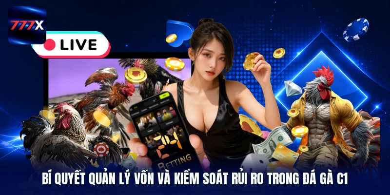 Bí quyết quản lý vốn và kiểm soát rủi ro trong đá gà C1