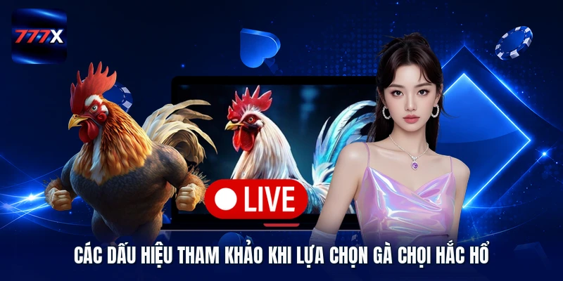 Các dấu hiệu tham khảo khi lựa chọn gà chọi hắc hổ