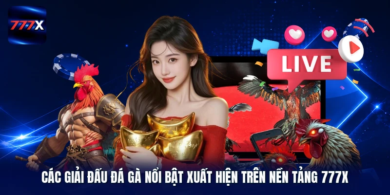 Các giải đấu đá gà nổi bật xuất hiện trên nền tảng 777X