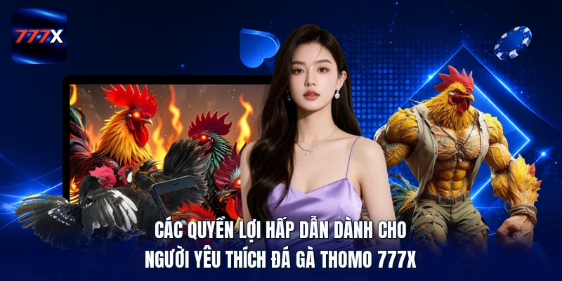Các quyền lợi hấp dẫn dành cho người yêu thích Đá gà Thomo 777X
