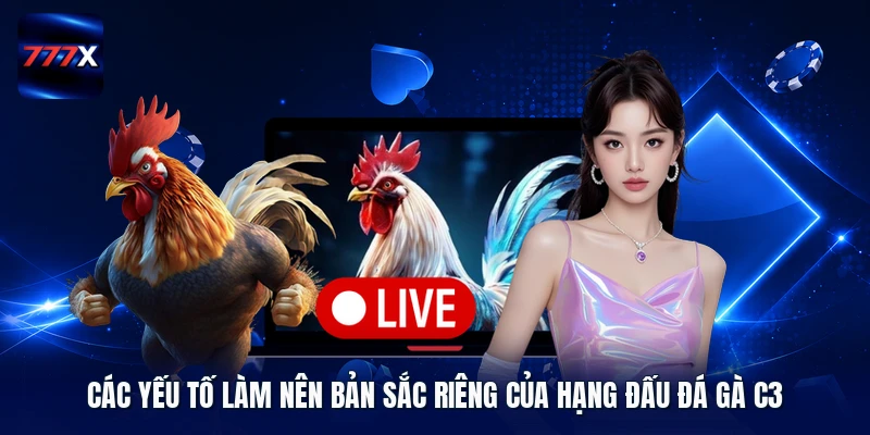 Các yếu tố làm nên bản sắc riêng của hạng đấu đá gà C3