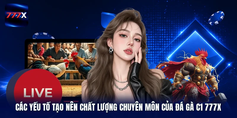 Các yếu tố tạo nên chất lượng chuyên môn của đá gà C1 777X