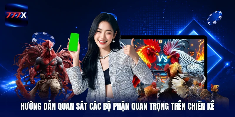 Hướng dẫn quan sát các bộ phận quan trọng trên chiến kê