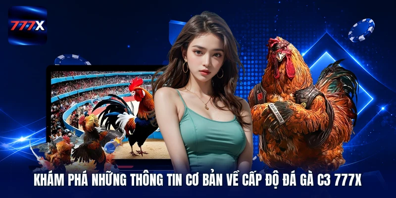 Khám phá những thông tin cơ bản về cấp độ đá gà C3 777X