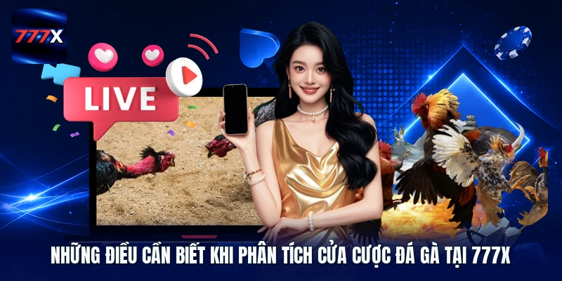 Những điều cần biết khi phân tích cửa cược đá gà tại 777X