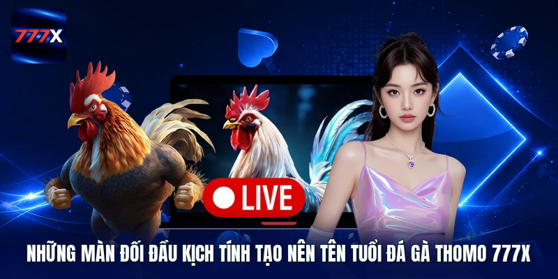 Những màn đối đầu kịch tính tạo nên tên tuổi Đá gà Thomo 777X