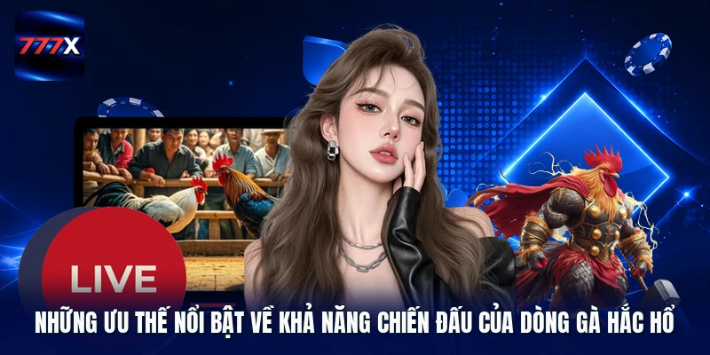 Những ưu thế nổi bật về khả năng chiến đấu của dòng gà hắc hổ